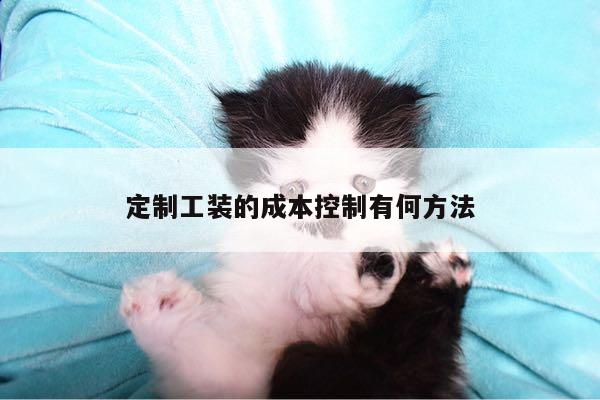定制工装的成本控制有何方法:emc易倍体育官方网站