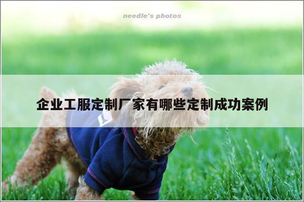 企业工服定制厂家有哪些定制成功案例:emc易倍