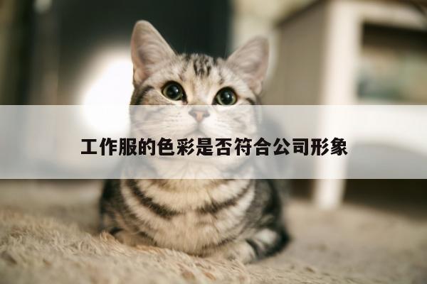 工作服的色彩是否符合公司形象:EMC易倍体育官方入口