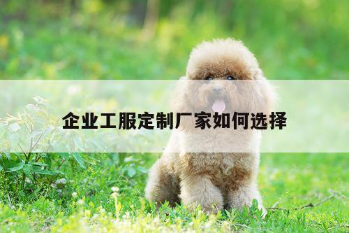 emc易倍体育官方网站:企业工服定制厂家如何选择