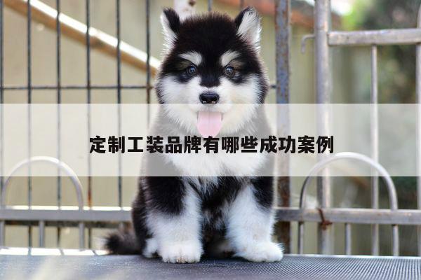 emc易倍体育官方网站:定制工装品牌有哪些成功案例