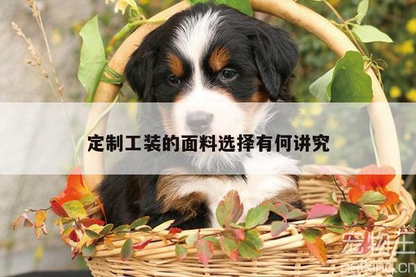 emc易倍体育官方网站:定制工装的面料选择有何讲究