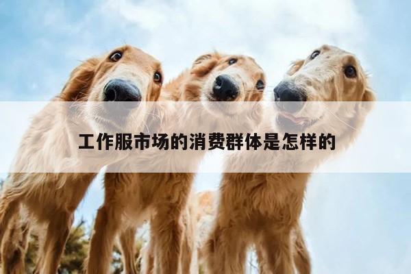 工作服市场的消费群体是怎样的:emc易倍体育