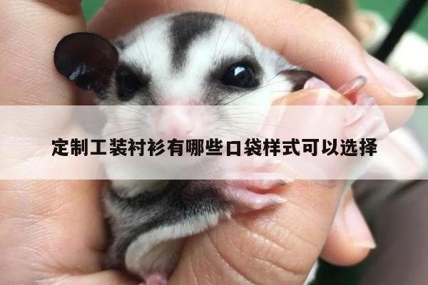 定制工装衬衫有哪些口袋样式可以选择:emc易倍体育