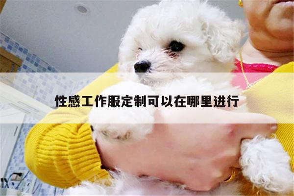 性感工作服定制可以在哪里进行：emc易倍体育官方网站