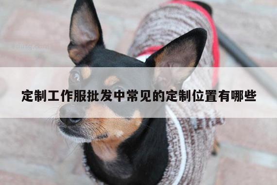emc易倍体育官方网站|定制工作服批发中常见的定制位置有哪些