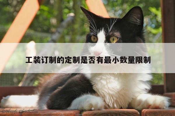 工装订制的定制是否有最小数量限制_emc易倍