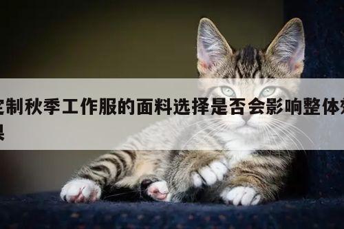 EMC易倍体育官方入口:定制秋季工作服的面料选择是否会影响整体效果