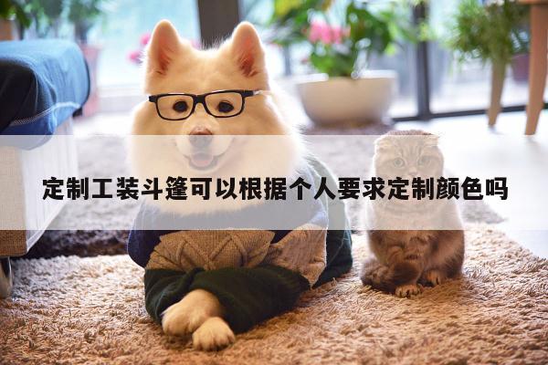 定制工装斗篷可以根据个人要求定制颜色吗-emc易倍体育官方网站