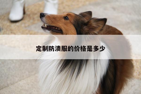 EMC易倍体育官方入口:定制防渍服的价格是多少