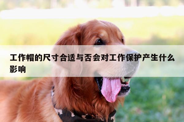emc易倍:工作帽的尺寸合适与否会对工作保护产生什么影响