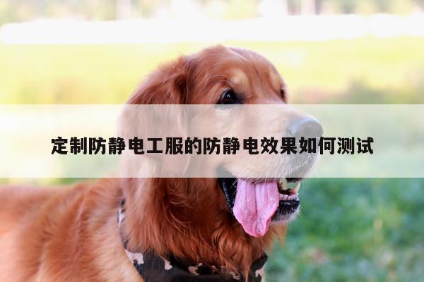 emc易倍体育:定制防静电工服的防静电效果如何测试