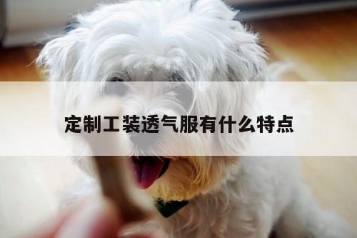 定制工装透气服有什么特点:EMC易倍体育官方入口